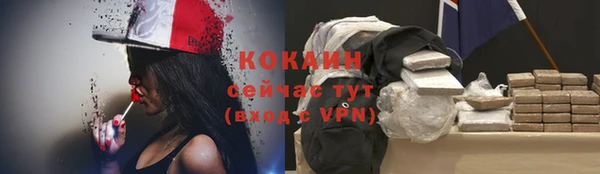 молекула духа Гусь-Хрустальный