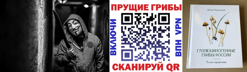 даркнет сайт  Серпухов  Псилоцибиновые грибы Psilocybe 